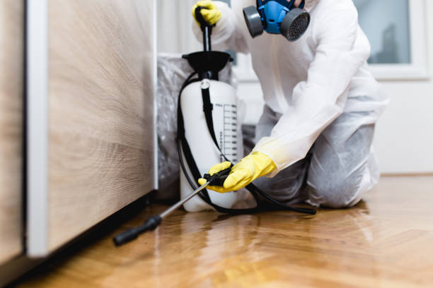 Best Best Pest Control Companies  in Seeley, CA
