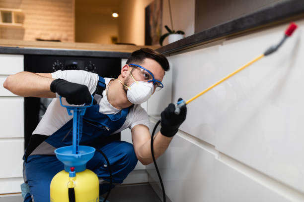 Best Bed Bug Extermination  in Seeley, CA