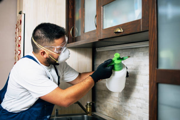 Best Pest Removal Services  in Seeley, CA
