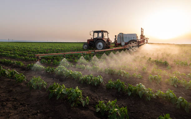 Best Ant Control Services  in Seeley, CA