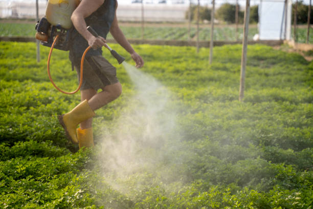 Best Best Pest Control Companies  in Seeley, CA
