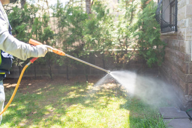 Best Mosquito Control Services  in Seeley, CA