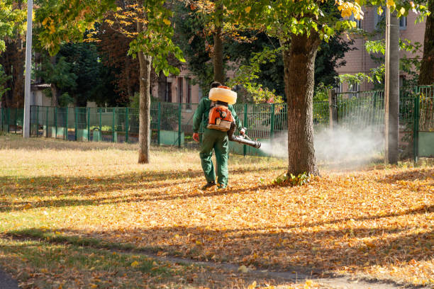 Best Wildlife Control Services  in Seeley, CA