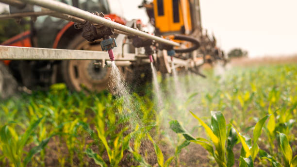 Best Pest Control Treatment  in Seeley, CA