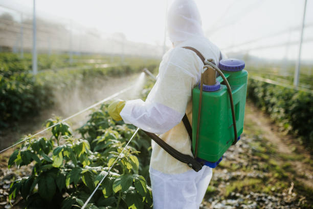 Best Affordable Pest Control Services  in Seeley, CA